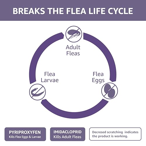 Amazon Basics Flea Topical For Large Cats thumb #2