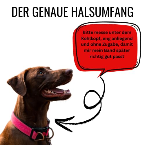Pfoten-Bro EM-Keramik Halsband für Hunde – Personalisierte Maßanfertigung und individuelle Designs – Handgefertigt in Deutschland