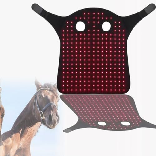Dispositivo de terapia de luz roja LED, cinturones portátiles de terapia de luz roja para el cuello de caballos, envoltura de terapia de infrarrojo cercano para la recuperación muscular de caballos