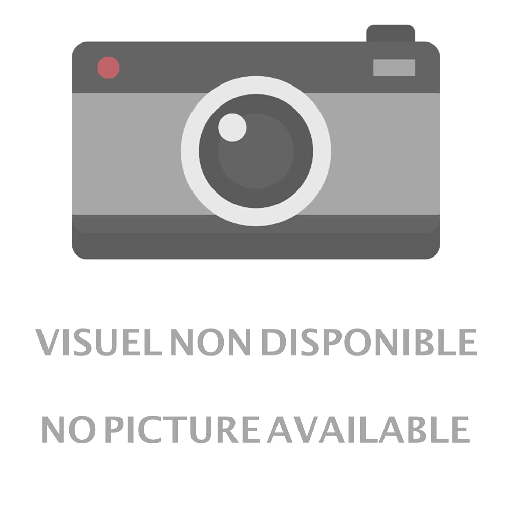 Les Mémoires de Vanitas T09 (French Edition)