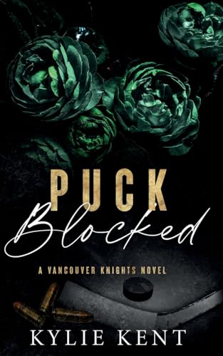 Puck Blocked view 2