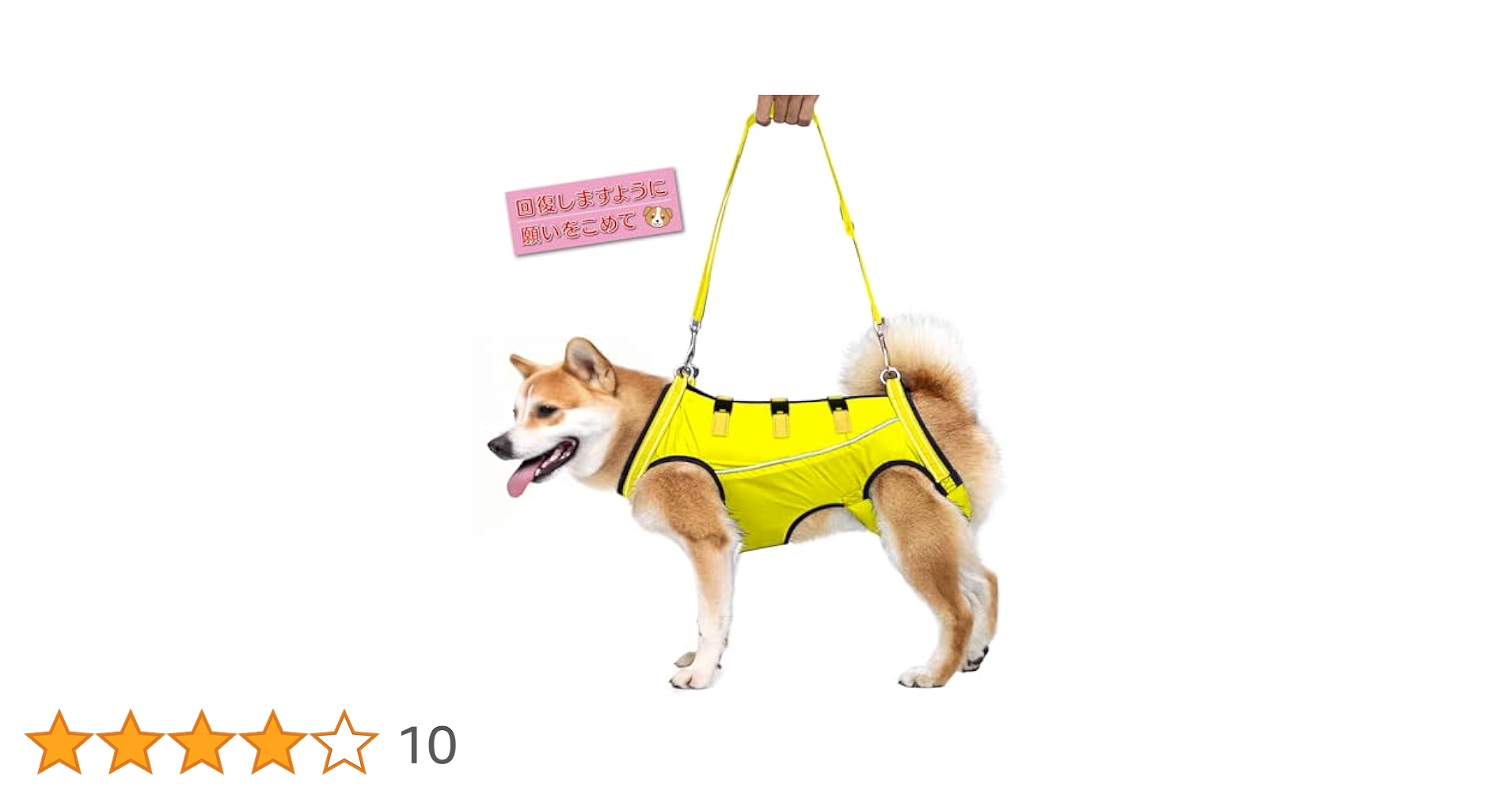 【中古】 転ばぬ先の智恵転んだ後の杖 人生の負け犬にならないために/講談社/笠巻勝利 2025年最新】Yahoo!オークション -転ばぬ先の杖(本、雑誌)の中古
