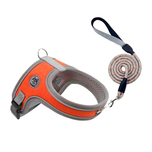 [Caividom] pyn[lX SKz ^^p UpyʃxXg ʋC Eh~@\ ˔&AWX^[t ҂tBbg݌v IWF XS