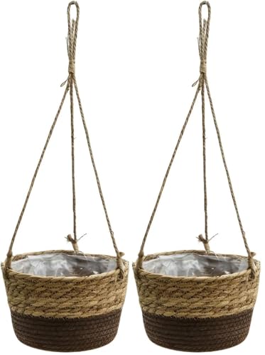 Aؔ ݂莮 ϗtA [2pbN]  t[|bg nMOoXPbg  ҂ ݂蔫 nMOv^[ Ԕ i` O  x_  㕔̒a20cm (C)