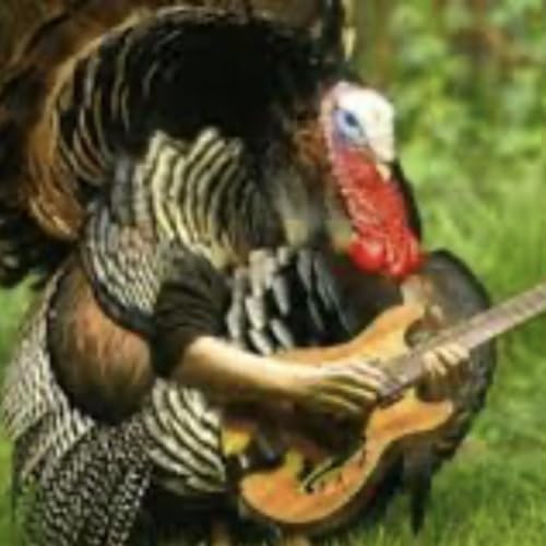 Episode 59: EP # 59 - Rock n Roll Thanksgiving!
