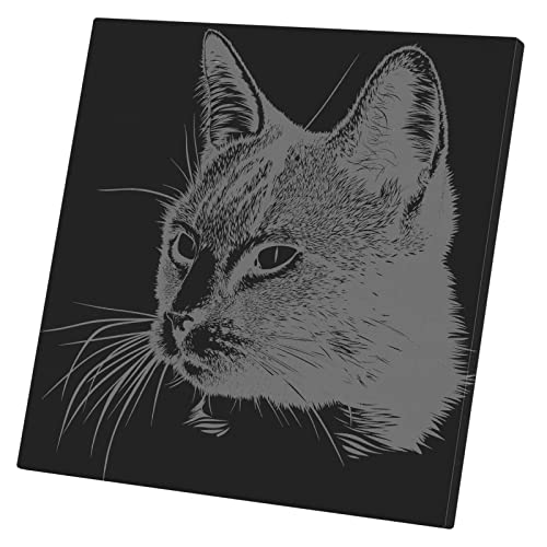 Tableau décoratif chat en toile imprimée pour sublimer le salon ou la chambre