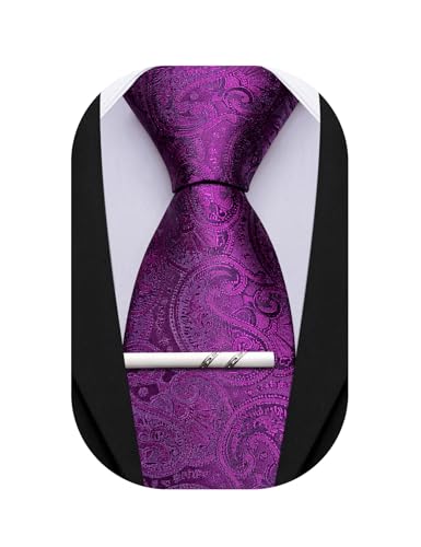 Image of Barry.Wang Paisley Tie for Men Silk Woven Necktie and Tie Clip Set Wedding Party Business Formal