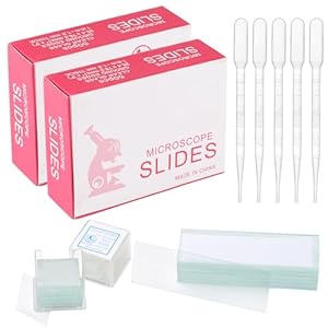 Xree 100 Stück Mikroskop Objektträger ZHH6699K