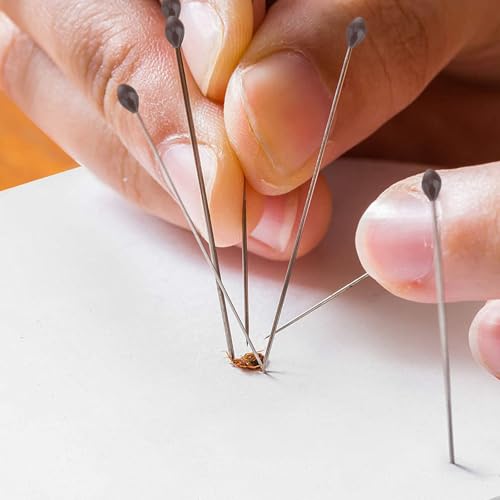 Kit exposition pour insectes protégeant les spécimens de la poussière - 4