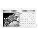 Bats 2026 Desk Calendar