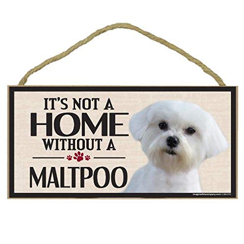 Image of Imagine This Wood Sign for Maltipoo Dog Breeds