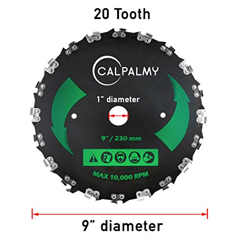 CalPalmy 9