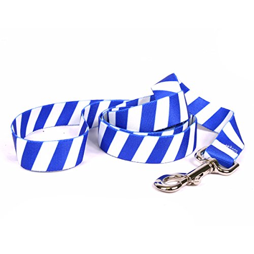 Image of Yellow Dog Design Team Spirit Royal Blue and White Dog Leash-Size Large-1 inch Wide and 5 feet (60 inch) Long