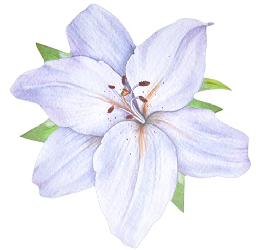 Disposable White Flower Shaped Paper Place Mats 50 Pack 13” Summer Lilly Magnolia Floral Charger Place Mat For Spring Flowers Dinner Table Setting Bridal Baby Shower Birthday Party Supplies Decor #TOP23