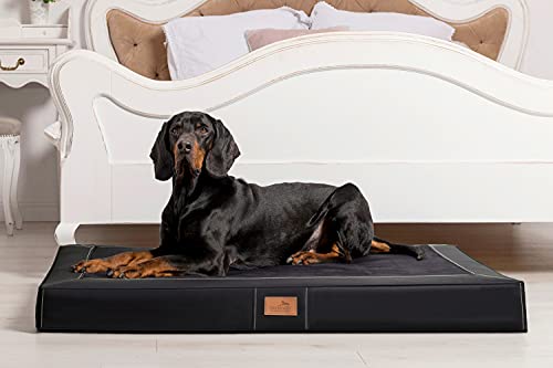 Best For Pets Orthopädisches Hundebett Ortho-Medic VISCO - 6 Farben & 7 Größen, Für ältere Oder Gelenkkranke Hunde