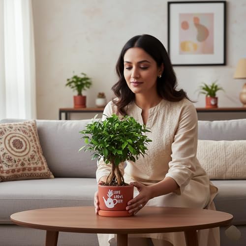 Image of Urban Plant Love Grows Terracotta Pot with Saucer (5 Inch) | Printed Clay Planter with Drainage Hole | Decorative Indoor Plant Pot for Tabletop, Desk & Home Decor