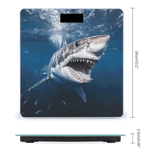 Báscula Digital de Baño con Vidrio Templado 10.2" miniatura 2