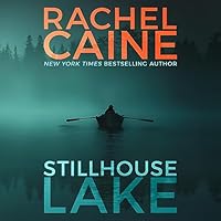 Algopix Similar Product 9 - Stillhouse Lake: Stillhouse Lake, Book 1