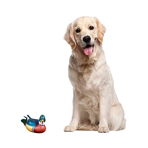 Novica Carolina Wood Duck Wood Statuette #TOP1