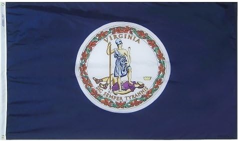All Star Flags 3x5' Virginia Heavy Weight Nylon Flag from