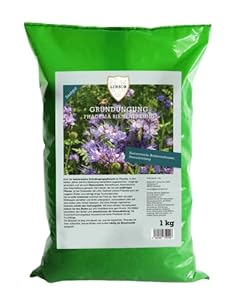 Linsor Phacelia Samen Bienenfreund Gründünger 1kg