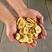 Lyra Pet® 1 kg Bananen getrocknet | Reich an Vitaminen & Ballaststoffen | Bananenscheiben für Vögel, Nager, Pferde & Reptilien | Nährstoffreiches & natürliches Futter | Ideal als Ergänzung
