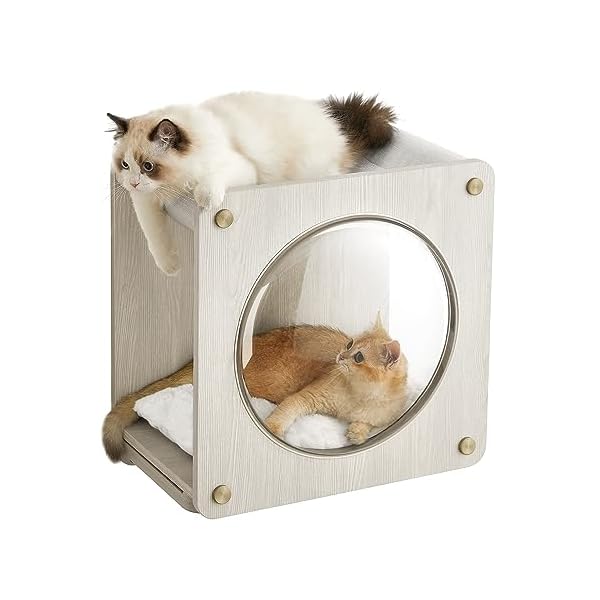 Feandrea Clickat Kollektion - Nr. 010 Katzenhöhle, extrem schnelle Montage, unbegrenzt erweiterbar, Module und Kissen austauschbar, Kletterwand Katzen, Katzenmöbel, mit Katzen-Hängematte, Fenster