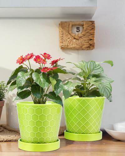 EFISPSS 5 Inch Ceramic Plant Pots Indoor, Planters with Drainage Holes and Ceramic Tray, Relief Design Flower PlanterοΌDesktop Office Windowsill Decoration Gift Set of 4 - Green