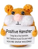 Positive Crochet Animals Handmade Hamster Plush Easter Basket Stuffers Essentials Funny Valentines Emotional Inspiration Support Gifts Birthday Gift for Teens Grils Boys Men Women Uplifting Gift