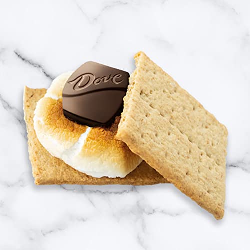 Dove Promises Milk Chocolate Candy Bag, 8.46 Oz #TOP7