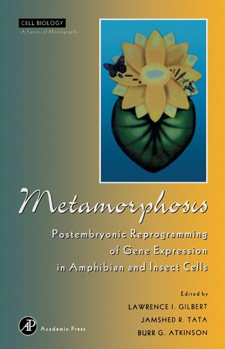Metamorphosis: Postembryonic Reprogramming of Gene Expression in Amphibian and Insect Cells (Cell Biology)