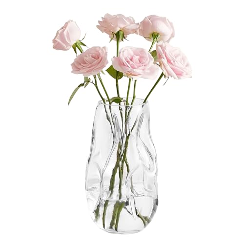 Vixplorn 2025新登場 花瓶 おしゃれ ガラス 特別な外観 フラワーベース 上品 花器 広口 北欧風 水栽培 生け花 造花用 リビング/部屋/寝室/オフィス/ホテルなどの装飾 プレゼント (クリア-27cm)