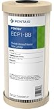 Pentek ECP1-BB Pleated Cellulose Polyester Filter Cartridge, 9-3/4