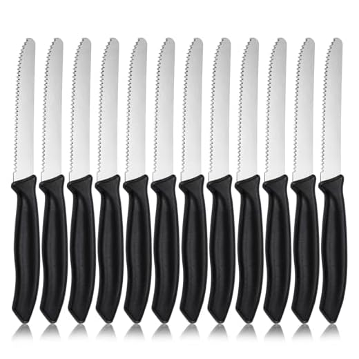 hunnycook Coltelli da Tavola Seghettati da 12 Pezzi, Nero Set Coltelli da Cucina, Lame da 11,5 cm, Adatto Per Affettare Pane, Pomodori, Lavabile in lavastoviglie
