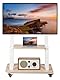 Mobile TV Ständer Rolling TV-Wagen für 32-75 Zoll TV Ständer Rollbar mit Rädern Flat/Curved LED/LCD/OLED höhenverstellbar Heavy-Duty Portable Floor Stand mit Holzregal Hält bis zu 100lbs Weiß