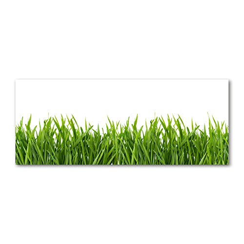 Fond de hotte verre de sécurité trempé Tulup à motif herbe verte 125x50cm