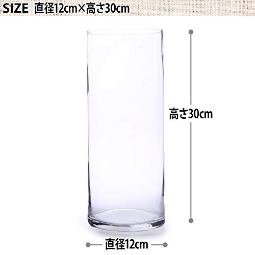 今年も花瓶でレモングラスを越冬させるよ 農業ファッションはじめました