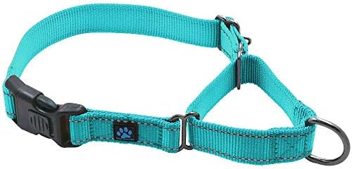 Max and Neo Nylon Martingale Collar - We Donate a Collar to a Dog Rescue for Every Collar Sold (Medium, Teal)