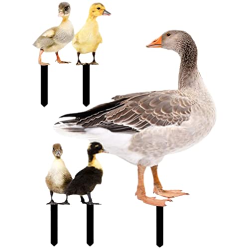 Handgefertigte Enten Aus Bambuswurzel – Bambusbasis