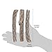 SunGrow Cholla Wood for Shrimps
