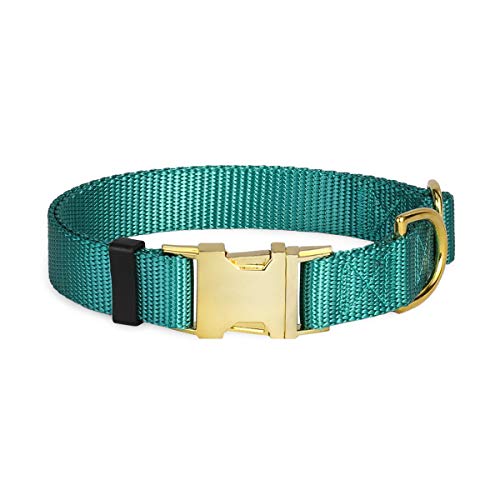 WAAAG Pet Collar, 30 Colors Classic Solid Color Dog Collar Cat Collar, Nylon Webbing Golden Buckle Dog Collar Cat Collar (Teal, M 14"-20" Neck)