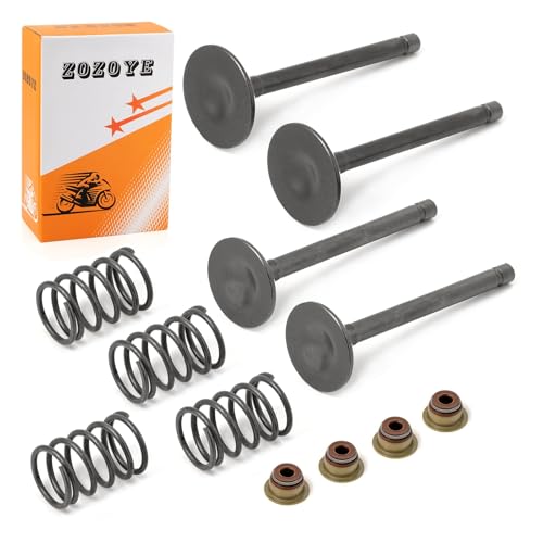 Image of Fugi Robbin 295cc 350cc Exhaust & Intake Valve & Seals Springs For EZGO 4 Cycle Gas Golf Cart MCI 2003-2008 (NO 1992-2002) 72857-G01 72507-G01