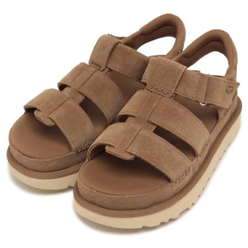 [AO]  T_ S[fX^[ Xgbv vbgtH[ uE fB[X 1137890 CHE W GOLDENSTAR STRAP CHESTNUT 7(24cm) [sAi]