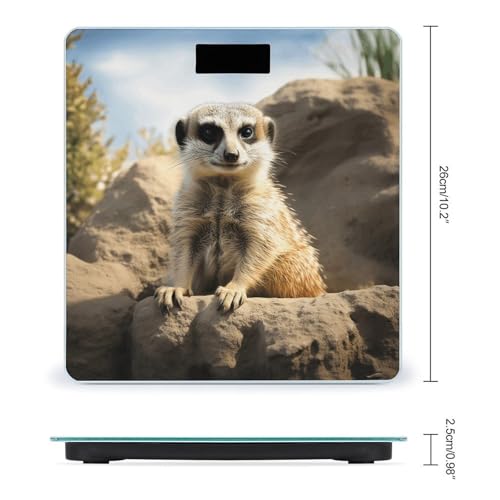 Báscula Digital Corporal Meerkat Animal Alta Precisión miniatura 2