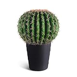 Sans entretien : plus besoin de tailler ou d'arroser. Dépoussiérez un peu avec un chiffon et votre cactus retrouvera son aspect neuf.