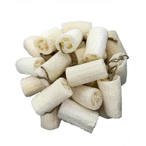 Image of 4 inch Plant Sponge 100% Natural Loofah Dish Sponges, Natural Dishwashing Sponges for Kitchen, Kitchen Scrubber Loofahs - 24 Pack