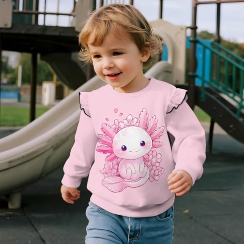 Cute Sweatshirts Toddler Crewneck Sweatshirt Girls Long Sleeve Shirts Crewneck Blouse for Outdoor3