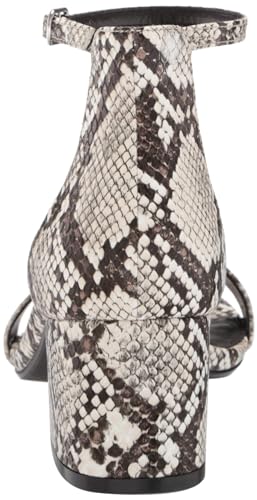 Image of Amazon Essentials Women's Two Strap Ankle Strap Block Heel Sandal