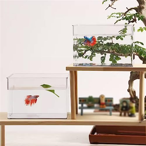 Bocal poisson transparent en acrylique premium avec support de table design - 7