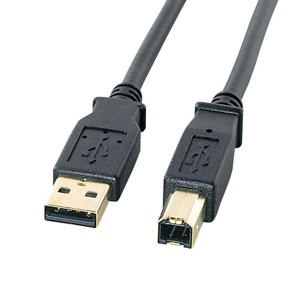 Amazon.com: Sanwa Supply KU20-3BKHK2 USB 2.0 Cable (Black, 9.8 ft